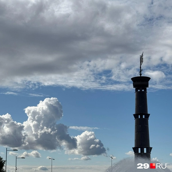 Это самый молодой парк Петербурга | Источник: Валерия Богатырёва / 29.RU