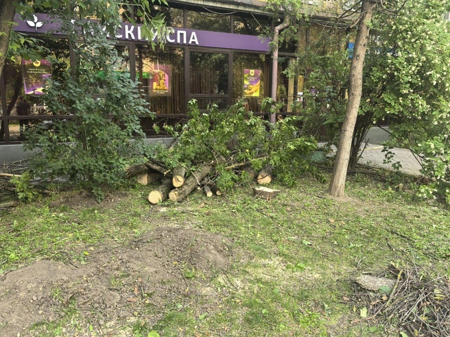 Источник: Читатель MSK1.RU