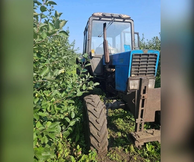 Пенсионер погиб под колесами трактора на садовом участке в Воронежской области | Источник: ГУ МВД России по Воронежской области / t.me/mvd36