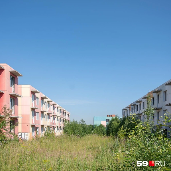 Панорамный вид на внутриквартальный проезд. Сейчас вместо него некошеное поле | Источник: Василина Любимова / 59.RU