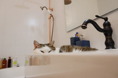 Холодную воду отключили в двух районах Саратова