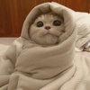 userpic__Настасья