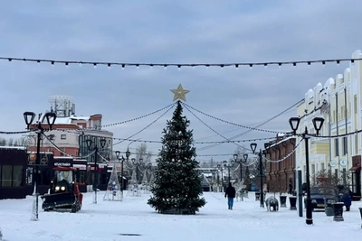 Новогодние площадки Барнаула: где откроются в 2026 году