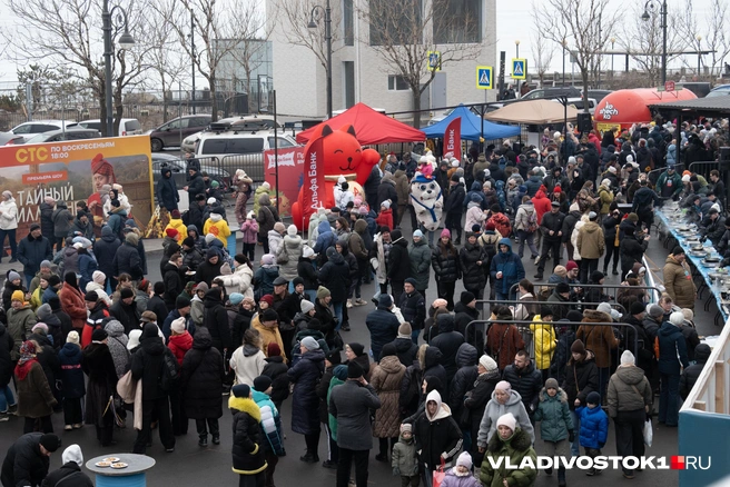 Источник: Елена Буйвол / VLADIVOSTOK1.RU