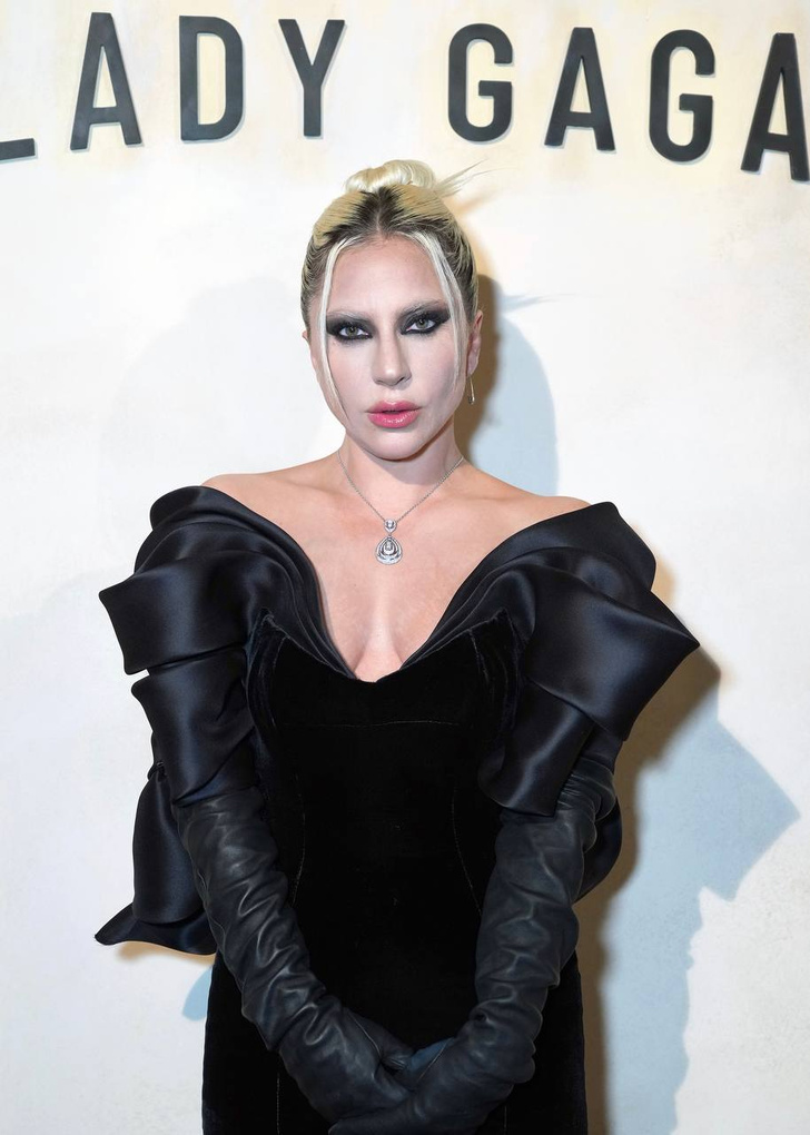 Готическая Леди Гага появилась на светском вечере без бровей и в платье своей сестры