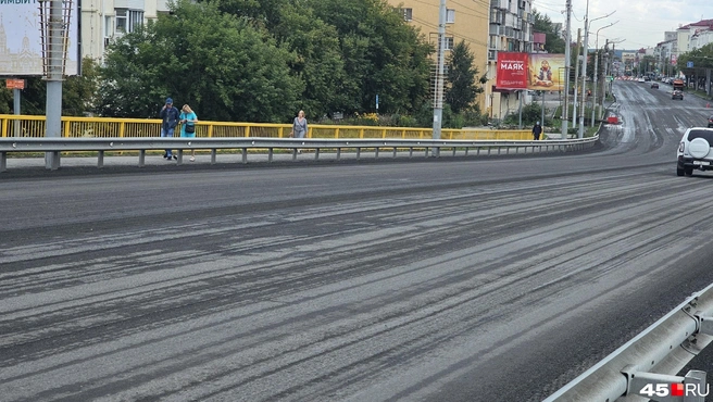 Некрасовский путепровод без верхнего слоя асфальта | Источник: Дарья Никитченко / 45.RU