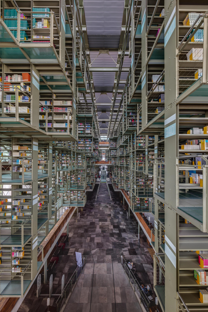 Самые потрясающие библиотеки мира (фото 68)