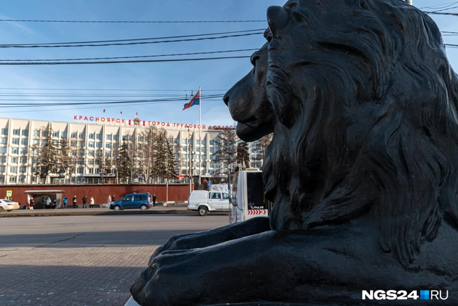 А вы знаете, сколько в городе львов? | Источник: Мария Ленц / NGS24.RU