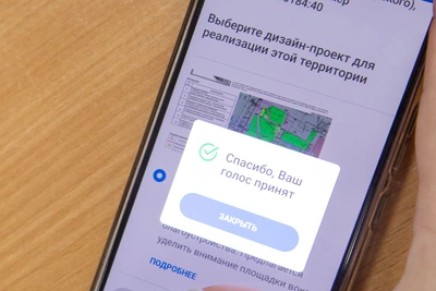 Мэр Благовещенска проголосовал за территорию для благоустройства