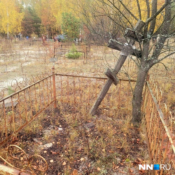 Источник: Кристина Калинина / NN.RU