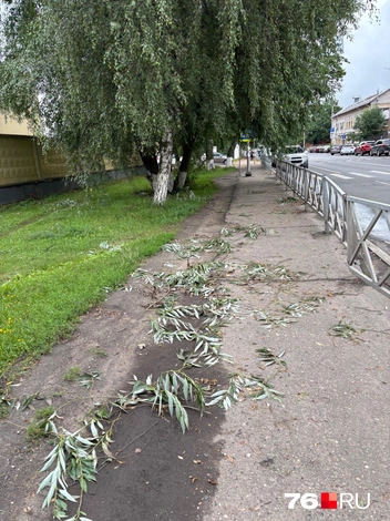 Такое видели многие по пути на работу этим утром | Источник: читатель 76.RU