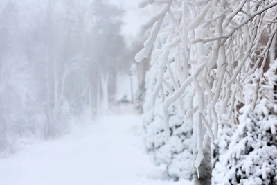 Трасса Чита-Забайкальск закрыта из-за непогоды