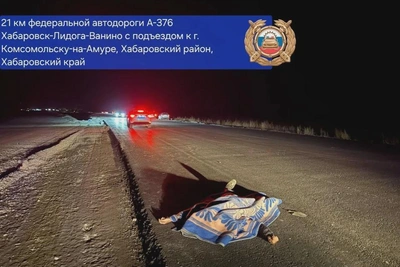 На трассе Хабаровск — Комсомольск насмерть сбили пешехода