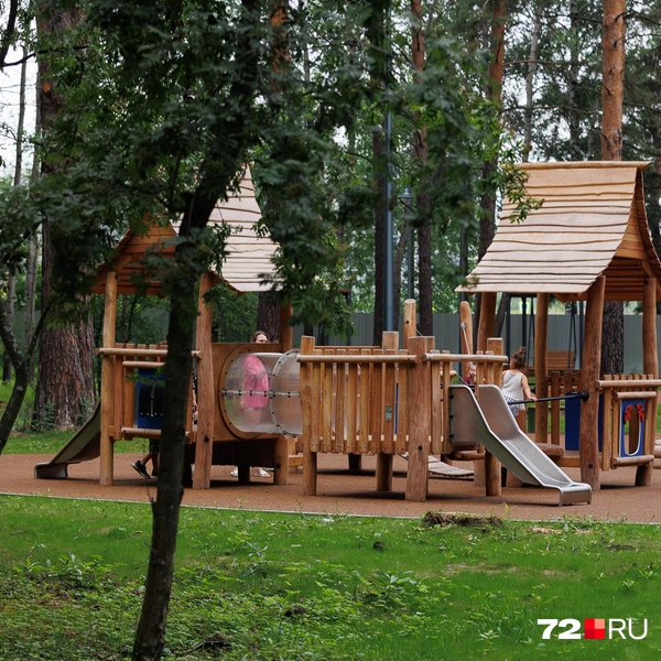 Источник: Ирина Шарова / 72.RU 