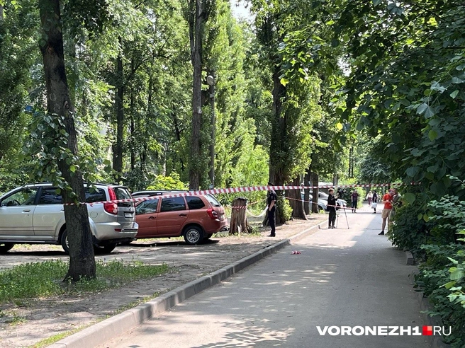 Часть двора оцепили | Источник: Полина Листопад / Voronezh1.ru