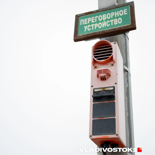 Источник: Елена Буйвол / VLADIVOSTOK1.RU