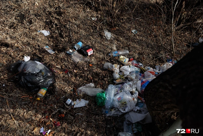 Сигаретные бычки — не единственная проблема, которая уродует облик нашего города. Еще один пример — бытовой мусор. Кто-то не донес мешок до бака. Стыдно ли ему? Вряд ли | Источник: Ирина Шарова / 72.RU