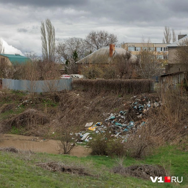 Слитая с улицы Чембарова вода из трубы копится в замусоренном овраге | Источник: Алексей Волхонский / V1.RU