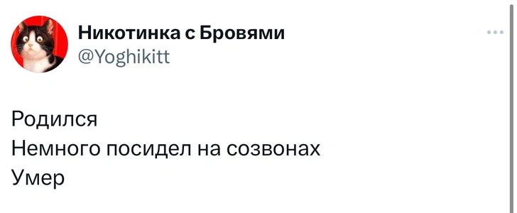 Источник: Twitter (X)