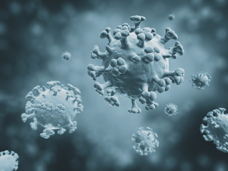 Эпидемия паники: три вопроса о гриппе