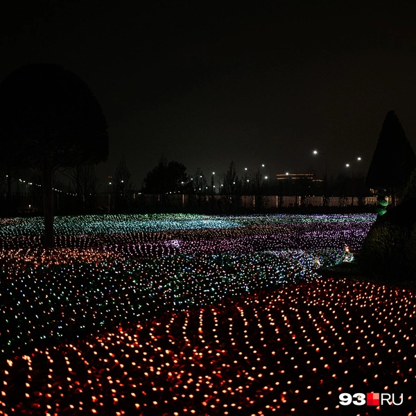 Источник: Дарья Паращенко / 93.RU