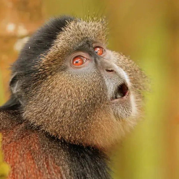 Источник: John Beckman / Smithsonian Magazine Photo Contest 2016