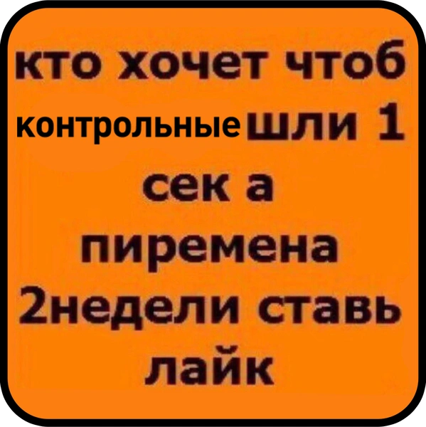 Лучшие шутки о поручении Владимира Путина сократить количество контрольных работ в школах