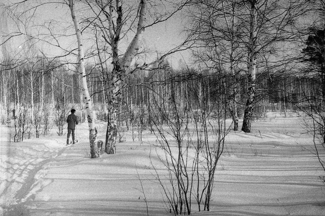 В 1980-е был лес, а теперь — микрорайон Краснолесье | Источник: Сергей Гагин
