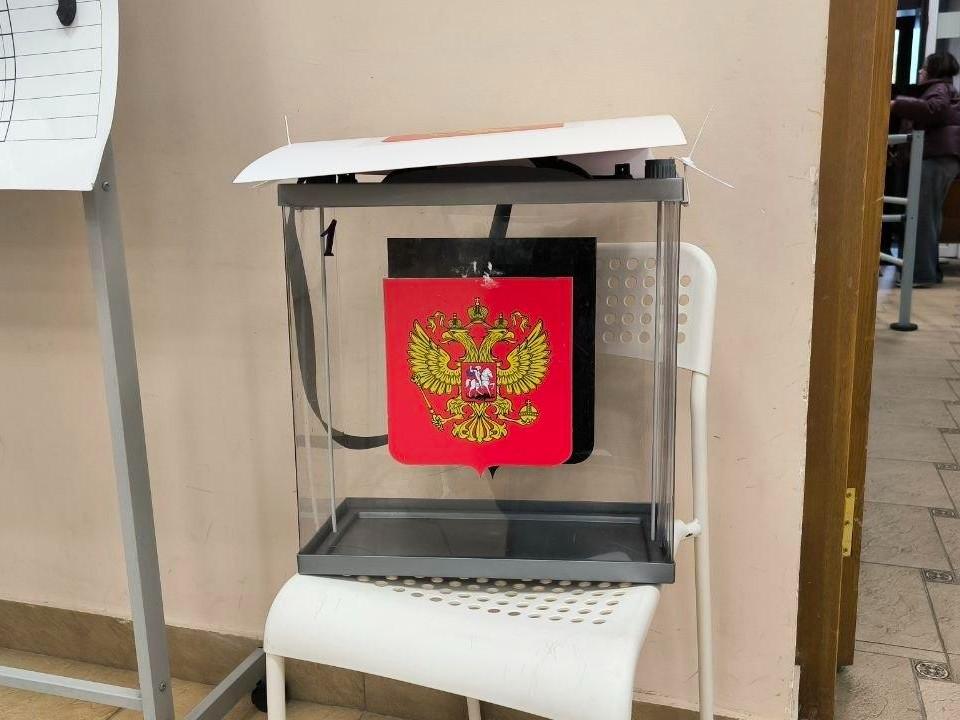 На одном из участков Архангельска аннулировали бюллетени во время выборов: что произошло