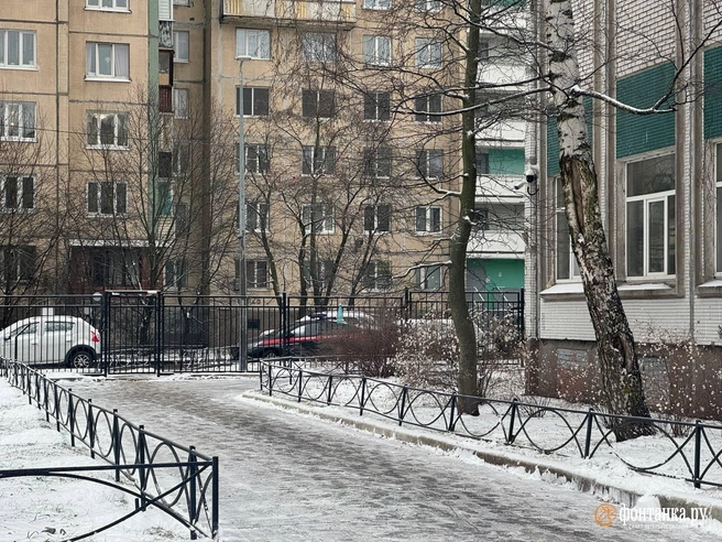 Источник: Ирина Лысак / «Фонтанка.ру»