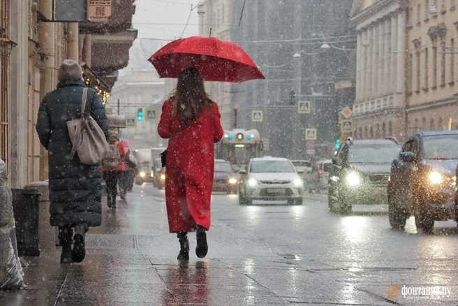 Погода готовит сюрпризы. Среди них — гололёд и повышение Невы | Источник: Михаил Огнев / «Фонтанка.ру»