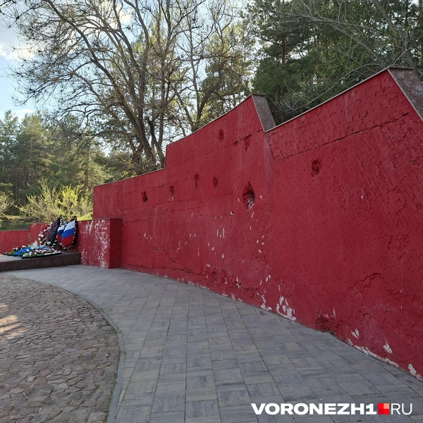 Источник: Алёна Воропаева / Voronezh1.ru