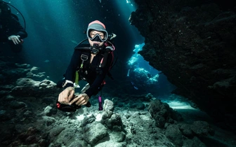 Открыта ещё длиннее: мексиканская подводная пещера Ox Bel Ha достигла 524 км