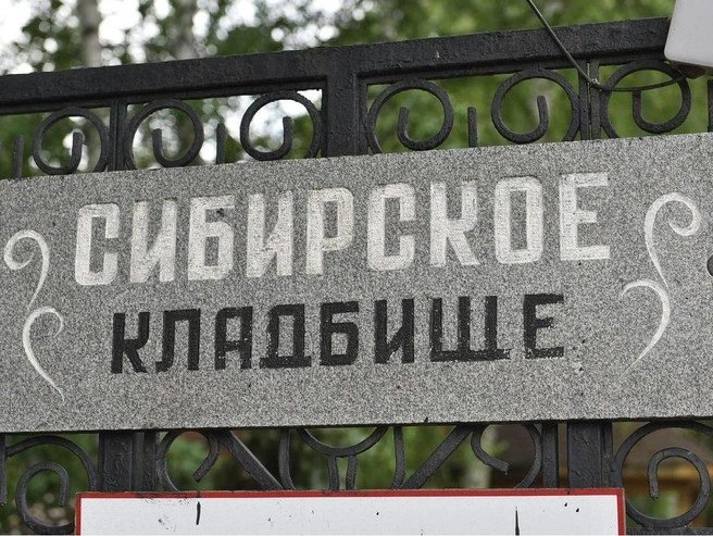 На Сибирском кладбище ветром повалило деревья | Источник: Артем Устюжанин / E1.RU