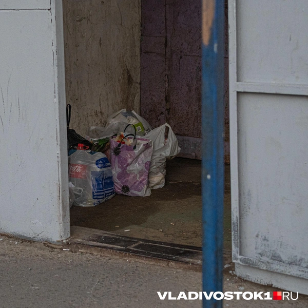 Источник: Елена Буйвол / VLADIVOSTOK1.RU