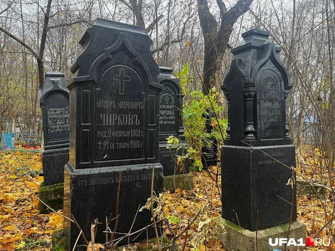 Источник: Екатерина Чижик / UFA1.RU