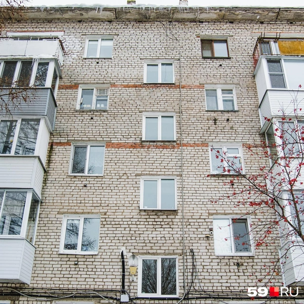 Источник: Тимофей Калмаков / 59.RU