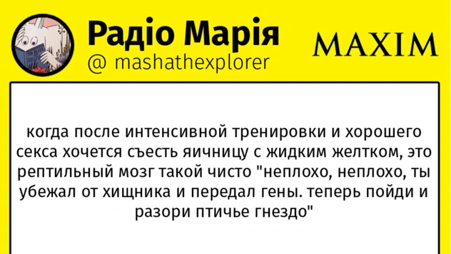 11 шуток первой недели декабря