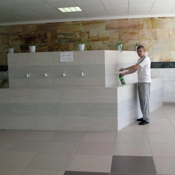 Источник: Sanatoriynizhniesergi.ru