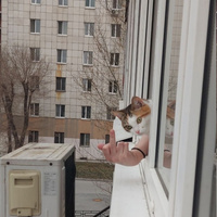 Аватарка semenusatov