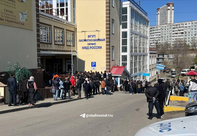 Источник: Елена Буйвол / VLADIVOSTOK1.RU