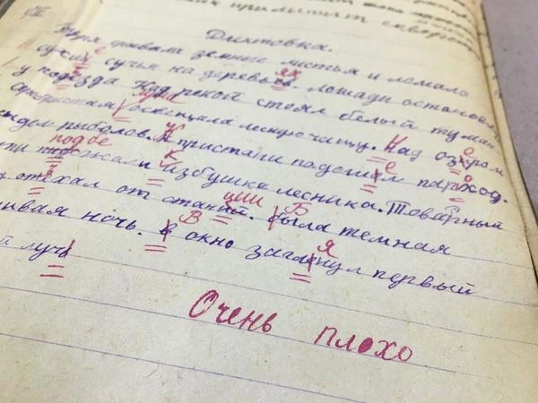 Как ленинградский школьник попал в историю через дымоход | www.fontanka.ru