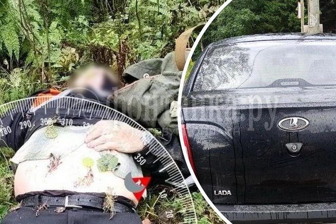 «В лесу долго не лежит ничего»: во Всеволожском районе нашли тело грибника — его не забирают уже несколько дней | Источник: читатель «Фонтанки»