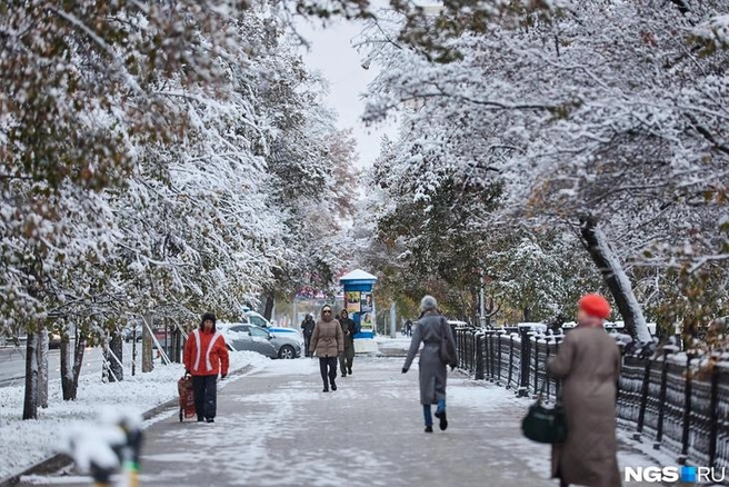 В Новосибирске минимальная температура ночью составит -4 градуса | Источник: Александр Ощепков / NGS.RU