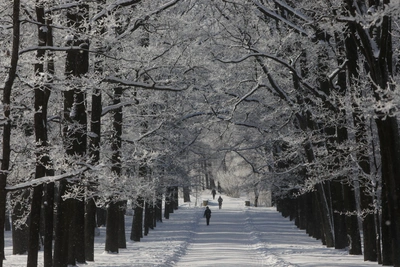 В Алтайском крае прогнозируют аномальное похолодание в декабре