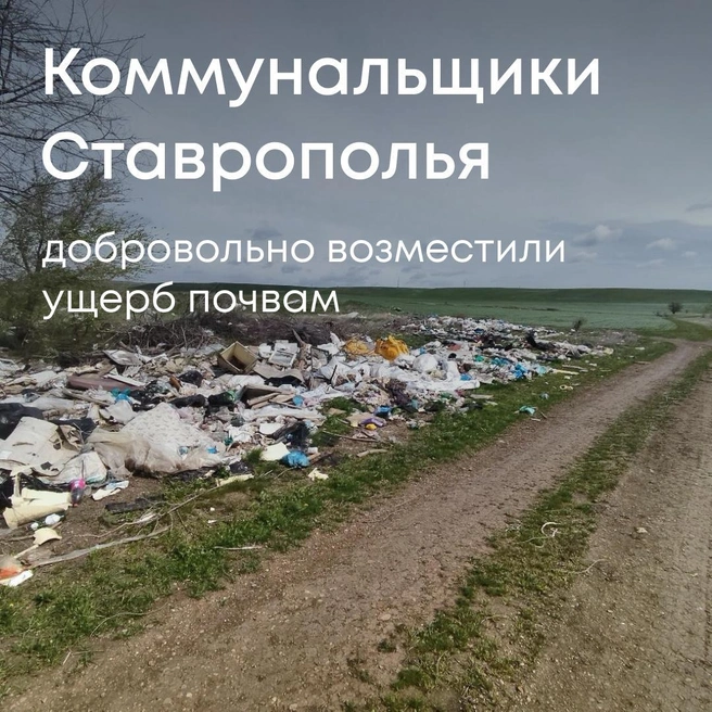 Свалка в Грачевском округе | Источник: Федеральная служба по надзору в сфере природопользования.