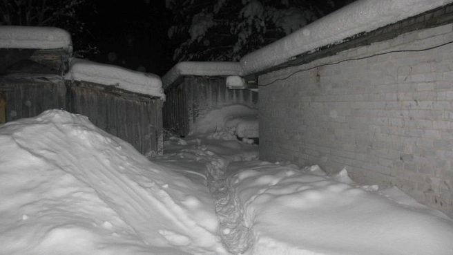 Источник: УМВД России по Мурманской области