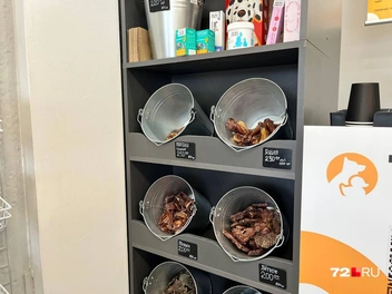 Наш спецкор даже пытался украсть кусочки угощений прямо из ведер, но его удалось отговорить | Источник: Анатолий Кузнецов / 72.RU