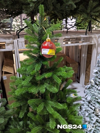 Она же искусственная!  | Источник: Мария Ленц / NGS24.RU 