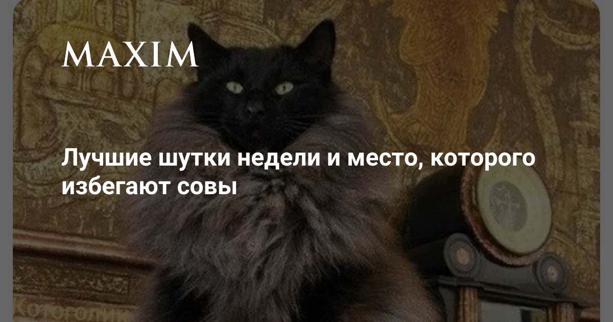 Смех сквозь блокировки: Топ-шутки недели из-за рубежа и секретное место совы